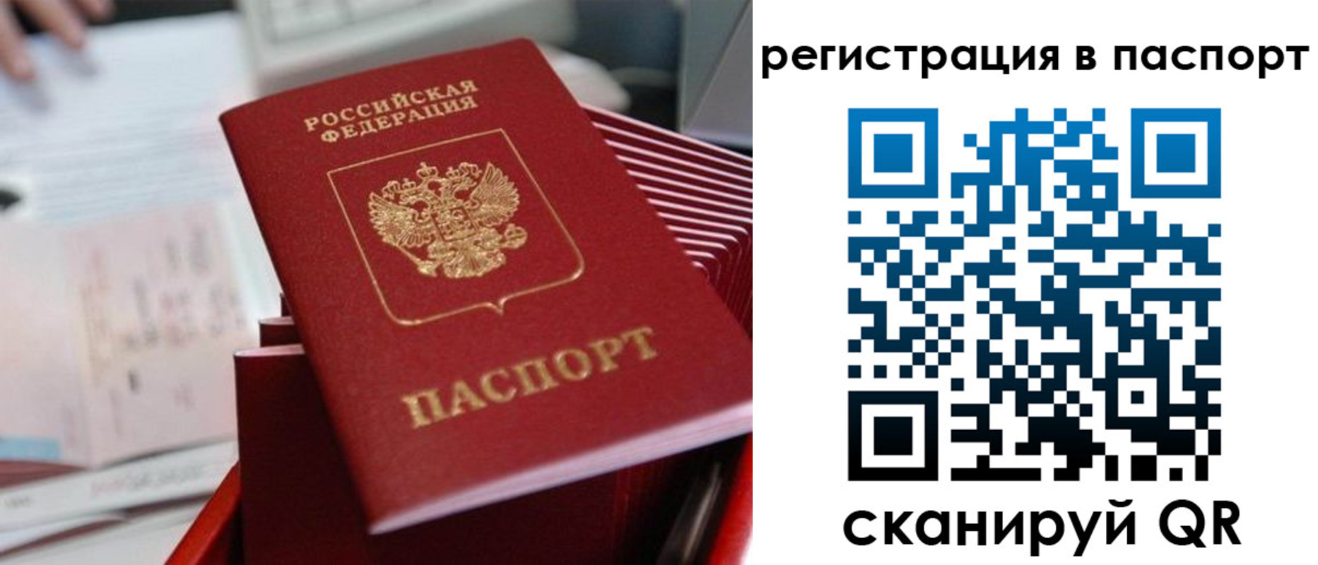прописка поиск в Ивантеевке